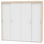 Шкаф-купе Аларти T-5-230х235х45ДСС-Белый-12