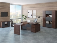 Кабинет руководителя POINTEX FORT 1 Олива