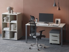 Комплект офисной мебели POINTEX New Line 2 Дуб шамони светлый