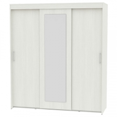 Шкаф-купе Аларти T-3-198х175х60-MВД-3