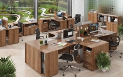 Колонка со стеклянной дверью Монолит Канцлер КЦ33.40 Бук артизан трюфельный