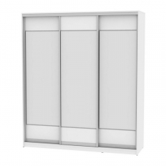 Шкаф-купе Аларти B-230х200х60-2Белый-D8D8D8