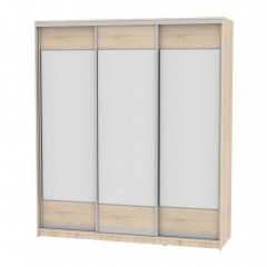 Шкаф-купе Аларти B-230х200х60-2ДСС-D8D8D8