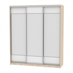 Шкаф-купе Аларти B-230х200х60-2ДСС-Белый-D8D8D8