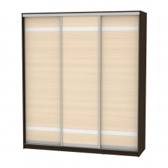 Шкаф-купе Аларти B-230х200х60-2Венге-ДМ-D9D9D9