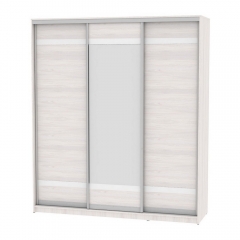 Шкаф-купе Аларти B-230х200х60-2ЯАС-D9D10D9