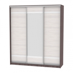 Шкаф-купе Аларти B-230х200х60-2ЯАТ-ЯАС-D9D10D9