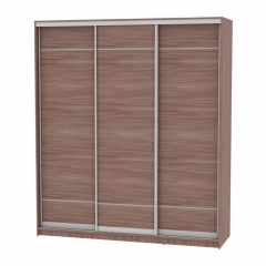 Шкаф-купе Аларти B-230х200х60-3ЯШТ-D7D7D7