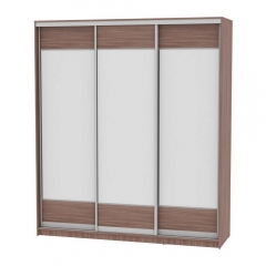 Шкаф-купе Аларти B-230х200х60-3ЯШТ-D8D8D8