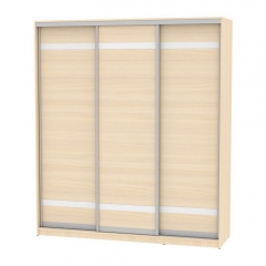 Шкаф-купе Аларти B-230х200х60-3ДМ-D9D9D9