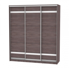 Шкаф-купе Аларти B-230х200х60-3ЯАТ-D9D9D9