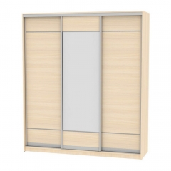 Шкаф-купе Аларти B-230х200х60-3ДМ-D7D8D7