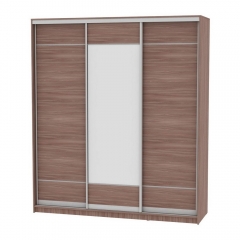 Шкаф-купе Аларти B-230х200х60-3ЯШТ-D7D8D7