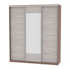 Шкаф-купе Аларти B-230х200х60-3ЯШТ-ЯШС-D7D8D7