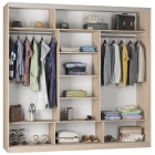 Шкаф-купе Аларти B-230х235х60-2ДМ-D8D8D8