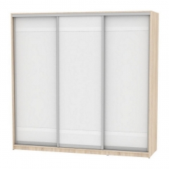 Шкаф-купе Аларти B-230х235х60-2ДСС-Белый-D9D9D9