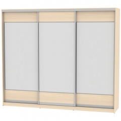 Шкаф-купе Аларти B-230х270х60-2ДМ-D8D8D8