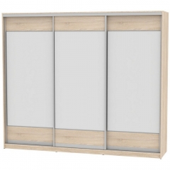 Шкаф-купе Аларти B-230х270х60-2ДСС-D8D8D8