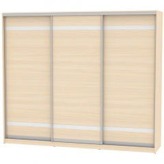 Шкаф-купе Аларти B-230х270х60-2ДМ-D9D9D9