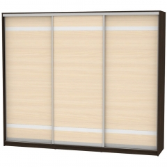 Шкаф-купе Аларти B-230х270х60-2Венге-ДМ-D9D9D9