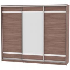 Шкаф-купе Аларти B-230х270х60-2ЯШТ-D9D10D9