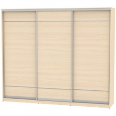 Шкаф-купе Аларти B-230х270х60-3ДМ-D7D7D7