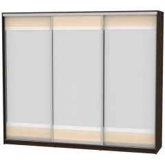 Шкаф-купе Аларти B-230х270х60-3Венге-ДМ-D10D10D10