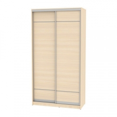 Шкаф-купе Аларти B-220х120х60-2ДМ-D7D7
