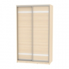 Шкаф-купе Аларти B-220х135х60-1ДМ-D9D9