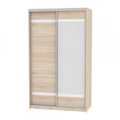 Шкаф-купе Аларти B-220х135х60-2ДСС-D9D10