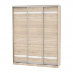 Шкаф-купе Аларти B-220х180х60-1ДСС-D9D9D9