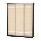 Шкаф-купе Аларти B-220х180х60-1Венге-ДМ-D9D9D9