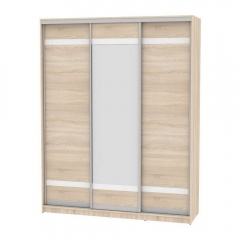 Шкаф-купе Аларти B-220х180х60-1ДСС-D9D10D9