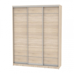 Шкаф-купе Аларти B-220х180х60-2ДСС-D7D7D7