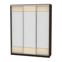 Шкаф-купе Аларти B-220х180х60-2Венге-ДМ-D8D8D8