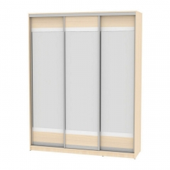 Шкаф-купе Аларти B-220х180х60-2ДМ-D10D10D10