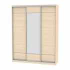 Шкаф-купе Аларти B-220х180х60-2ДМ-D7D8D7