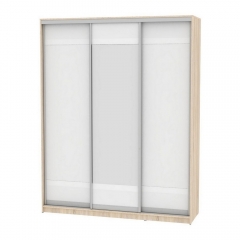 Шкаф-купе Аларти B-220х180х60-2ДСС-Белый-D9D10D9