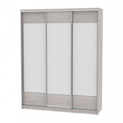 Шкаф-купе Аларти B-220х180х60-3ЯШС-D8D8D8