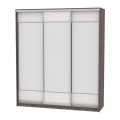 Шкаф-купе Аларти B-220х200х60-1ЯАТ-ЯАС-D8D8D8