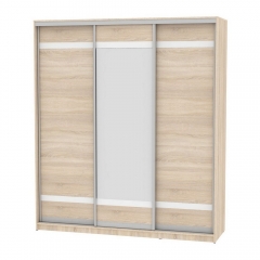 Шкаф-купе Аларти B-220х200х60-1ДСС-D9D10D9