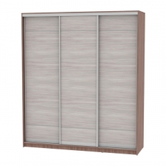 Шкаф-купе Аларти B-220х200х60-2ЯШТ-ЯШС-D7D7D7