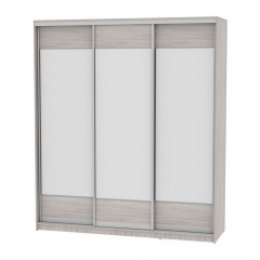 Шкаф-купе Аларти B-220х200х60-2ЯШС-D8D8D8