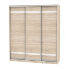 Шкаф-купе Аларти B-220х200х60-2ДСС-D9D9D9