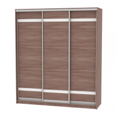 Шкаф-купе Аларти B-220х200х60-2ЯШТ-D9D9D9