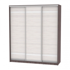 Шкаф-купе Аларти B-220х200х60-2ЯАТ-ЯАС-D9D9D9