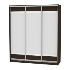 Шкаф-купе Аларти B-220х200х60-2Венге-D10D10D10