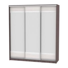 Шкаф-купе Аларти B-220х200х60-2ЯАТ-ЯАС-D10D10D10