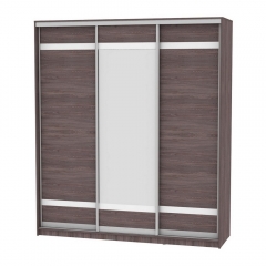 Шкаф-купе Аларти B-220х200х60-2ЯАТ-D9D10D9