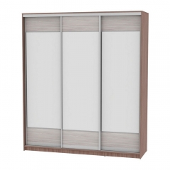 Шкаф-купе Аларти B-220х200х60-3ЯШТ-ЯШС-D8D8D8